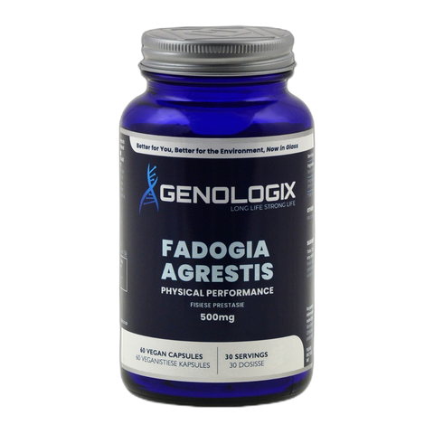 Fadogia Agrestis 500mg (30 Servings x 60 Capsules)